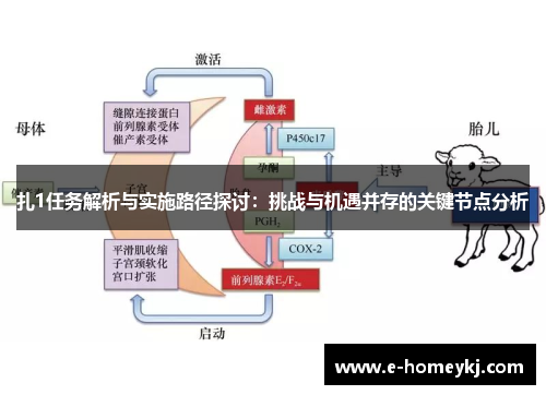 扎1任务解析与实施路径探讨：挑战与机遇并存的关键节点分析