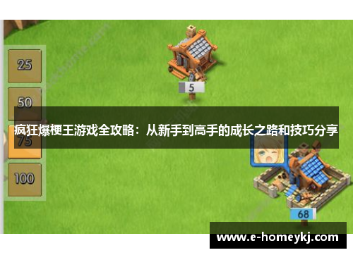 疯狂爆梗王游戏全攻略：从新手到高手的成长之路和技巧分享